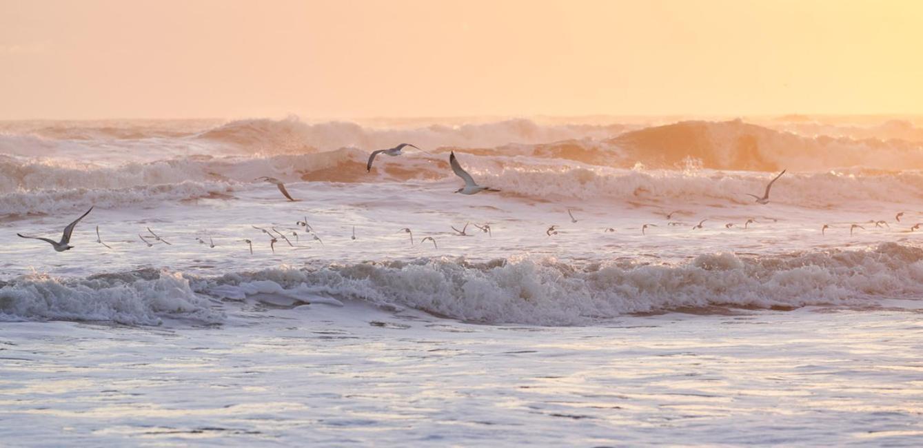 The Maverick Ormond Beach Zewnętrze zdjęcie